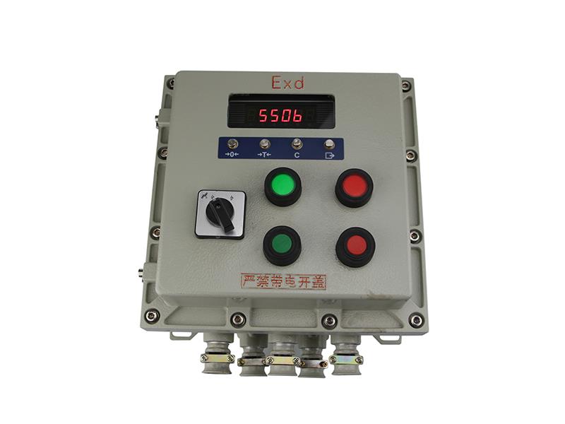 廣州(zhōu)ST550B-EX-防爆稱重儀(yí)表
